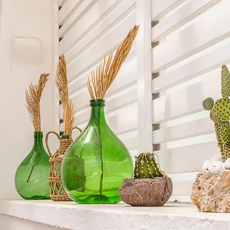 Terrazza Vallisa Bed & Breakfast Bari